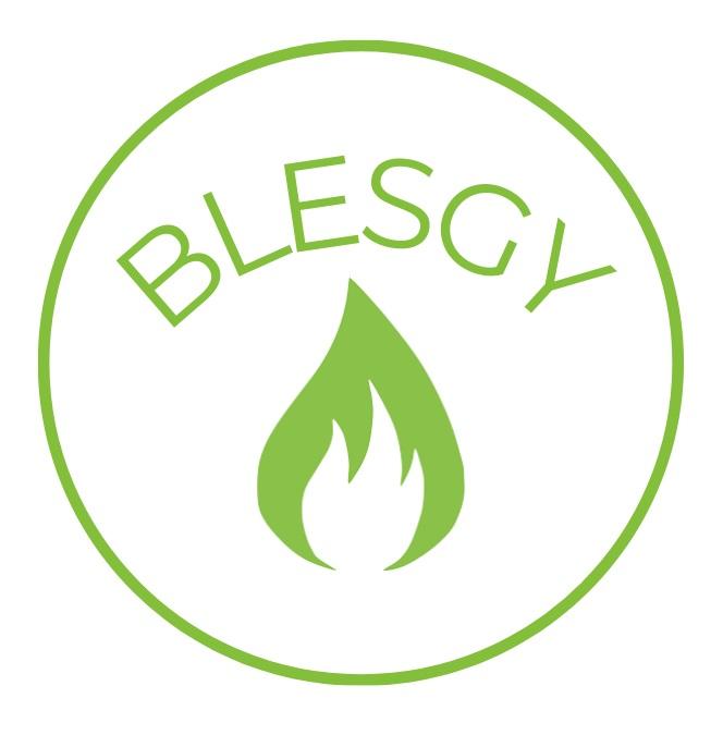  ◳ Blesgy logo (jpeg) → (originál)